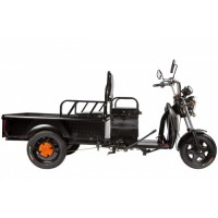 Электротрицикл Rutrike D1 1200 60V900W Зеленый